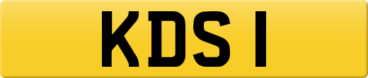KDS1