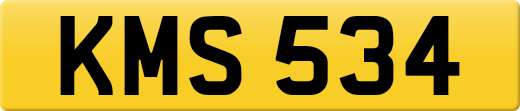 KMS534