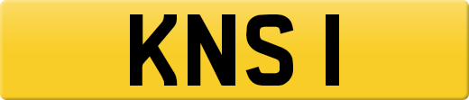 KNS1