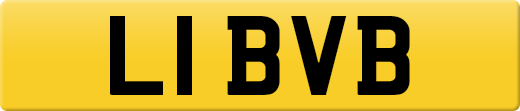 L1BVB