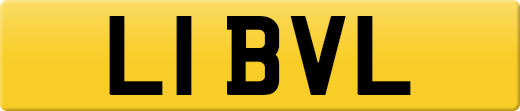 L1BVL