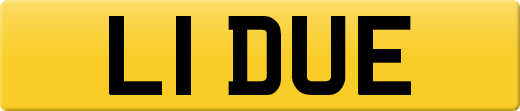 L1DUE