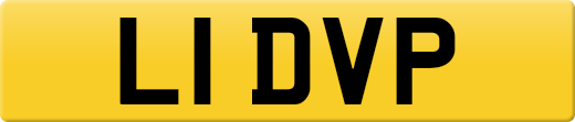 L1DVP
