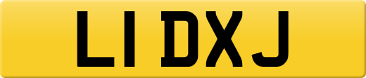 L1DXJ
