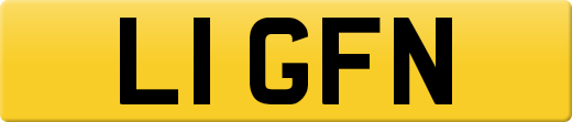 L1GFN