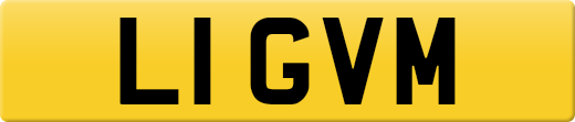 L1GVM