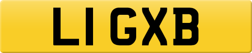 L1GXB