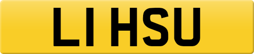 L1HSU