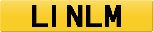 L1NLM