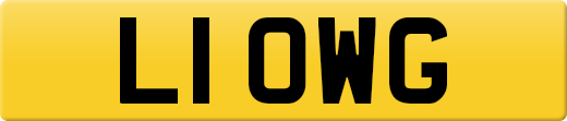 L1OWG