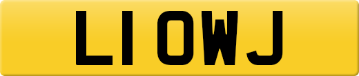 L1OWJ