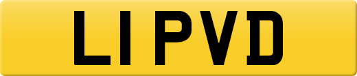 L1PVD