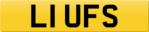L1UFS