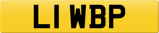 L1WBP