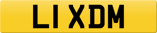 L1XDM