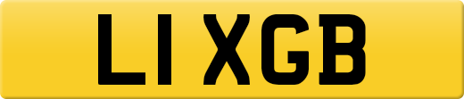 L1XGB