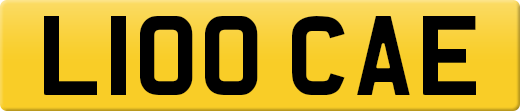 L100CAE