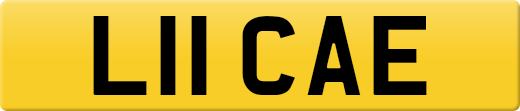 L11CAE