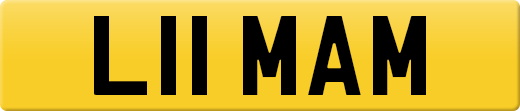 L11MAM