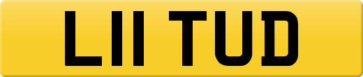 L11TUD