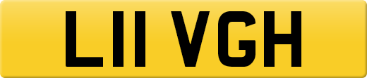 L11VGH