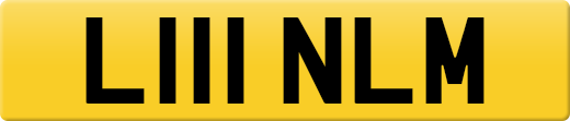 L111NLM