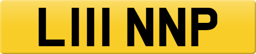 L111NNP