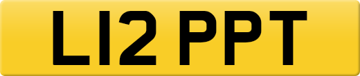 L12PPT
