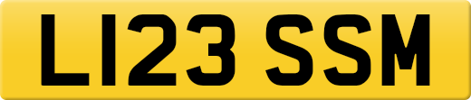 L123SSM