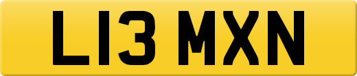 L13MXN