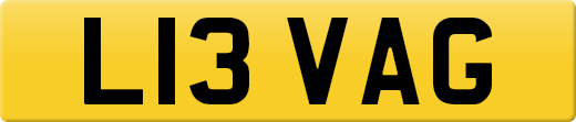 L13VAG