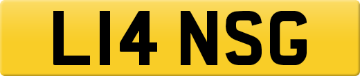 L14NSG