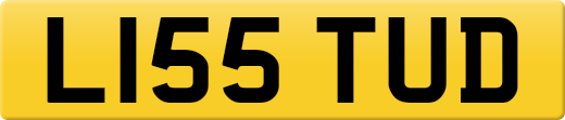 L155TUD
