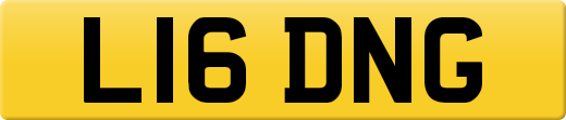 L16DNG