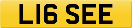 L16SEE