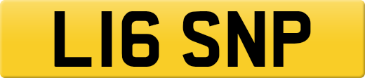 L16SNP
