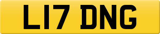 L17DNG