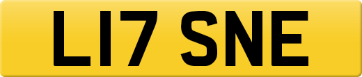 L17SNE