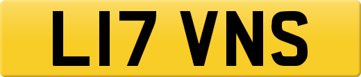 L17VNS