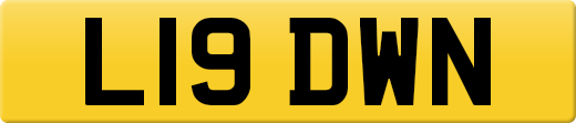 L19DWN