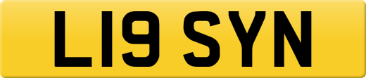 L19SYN