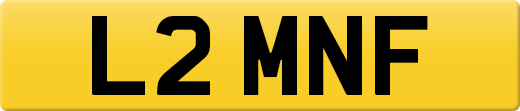 L2MNF