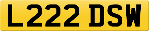 L222DSW