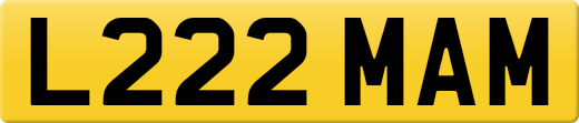 L222MAM