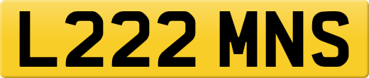 L222MNS