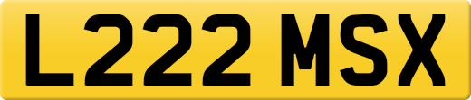 L222MSX