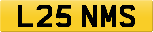 L25NMS