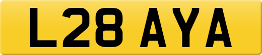 L28AYA