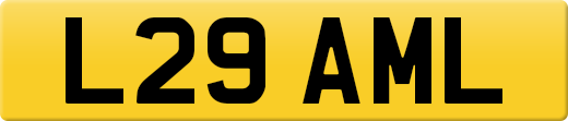 L29AML