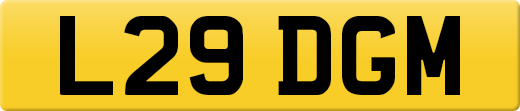 L29DGM